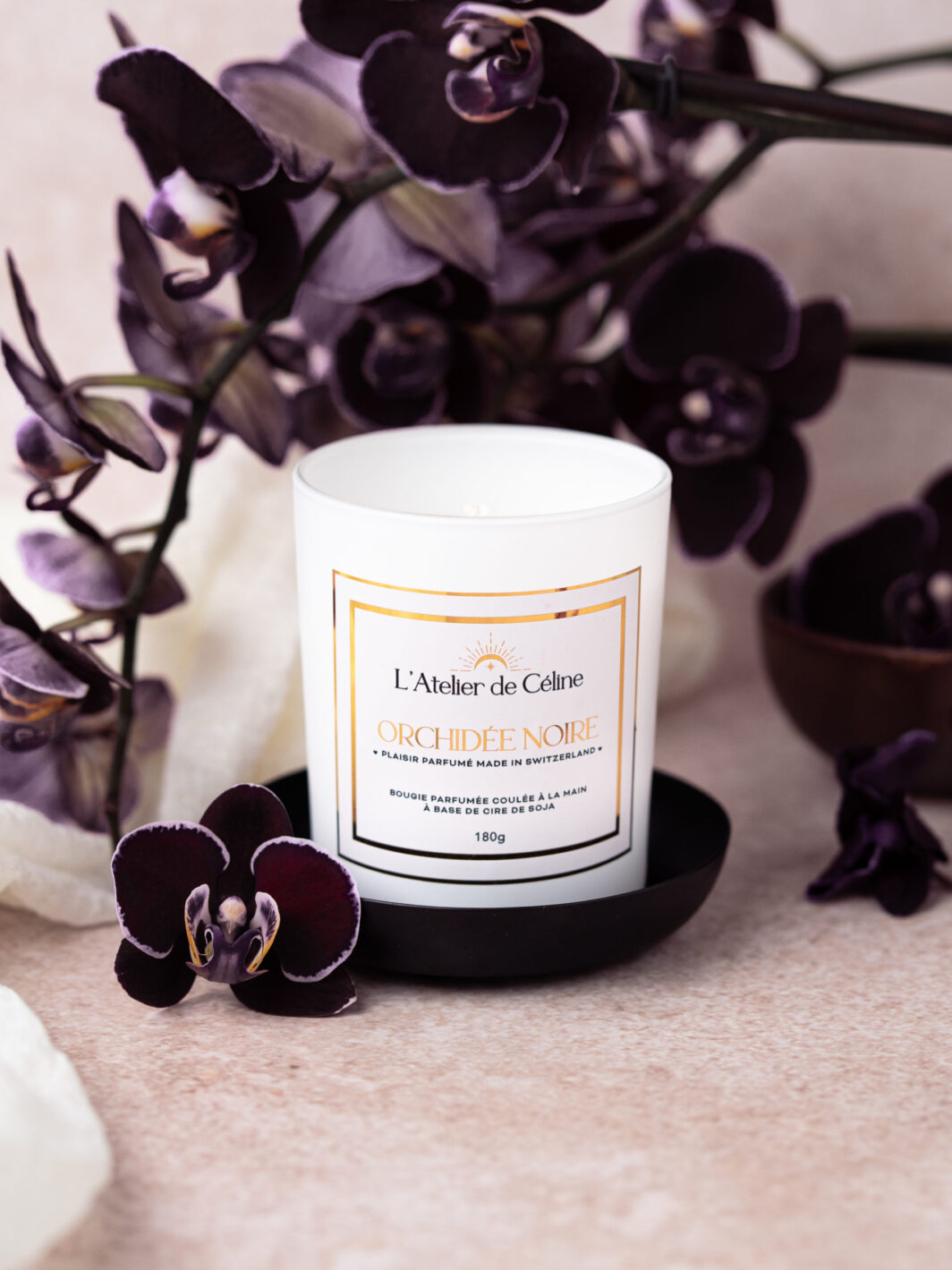 ORCHIDÉE NOIRE