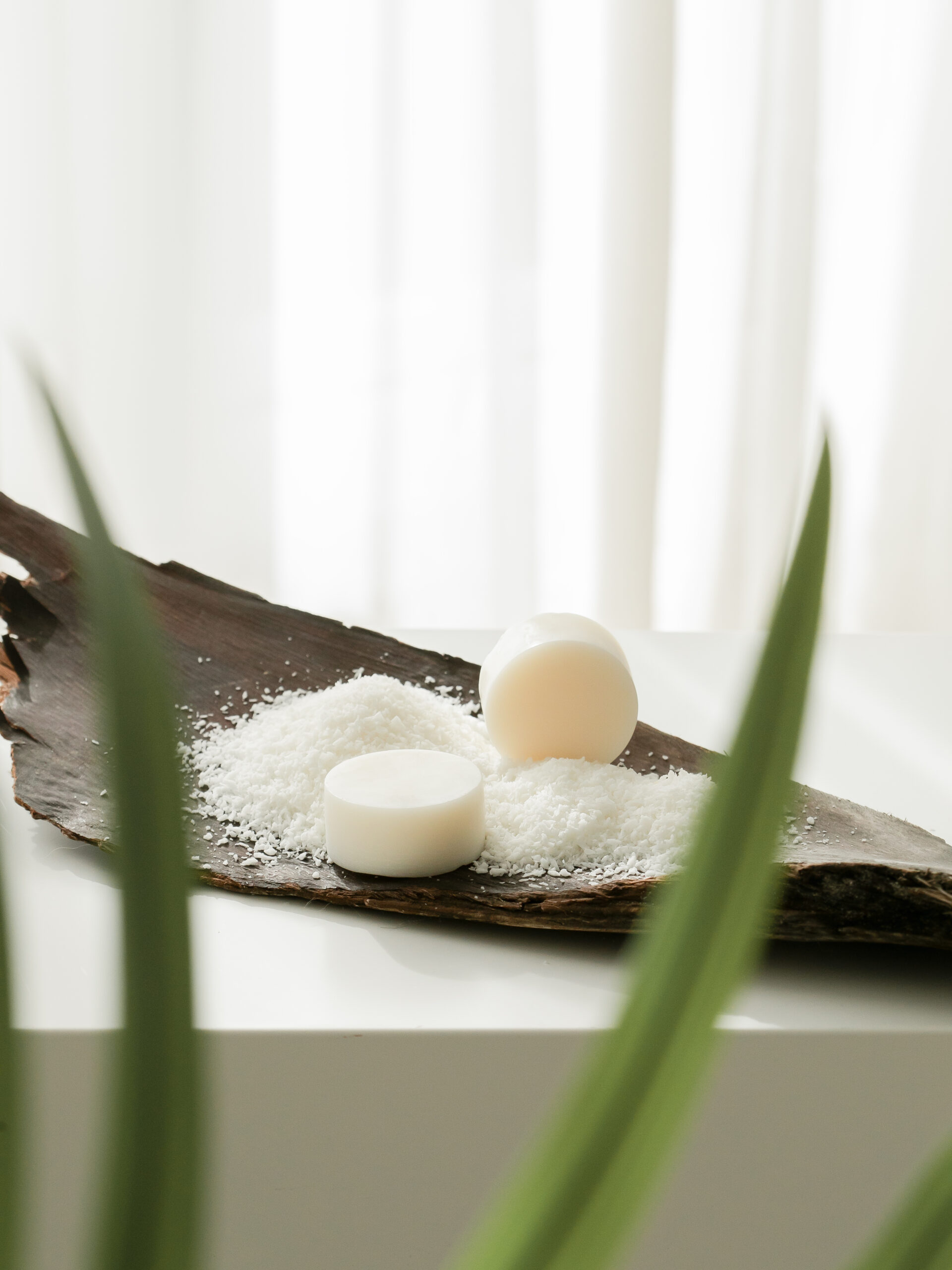 NOIX DE COCO