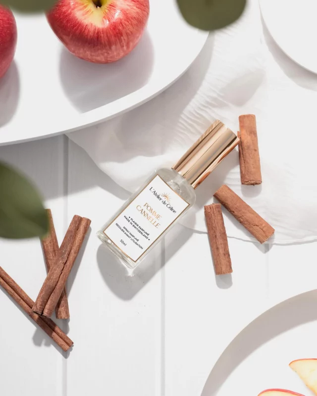 La petite nouveauté pour finir l’année, le spray d’ambiance que vous pouvez retrouver dans 8 senteurs différente, dont pomme cannelle l’incontournable pour la fin d’année 😍 
Vous pouvez les retrouver sur le site internet. 
Pour votre première commande sur le site, bénéficier de 10% de réduction. 
#spray #ambiancecosy #sprayparfumé #pommecannelle #noël #cadeau #coffretcadeau #maison #handmade